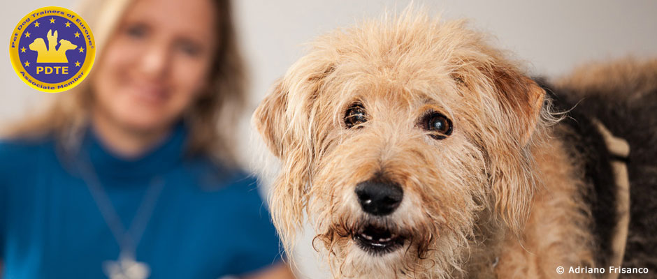Pet therapy… chi ne trae vantaggio?